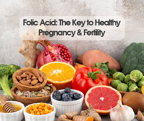 THE VITAL ROLE OF FOLIC ACID IN PREGNANCY AND FERTILITY